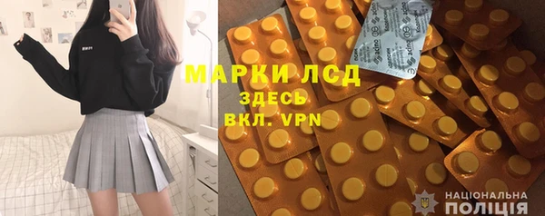 PSILOCYBIN Алзамай