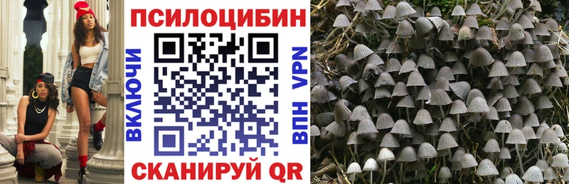 даркнет Telegram  mega зеркало  Мичуринск  Псилоцибиновые грибы Psilocybe 